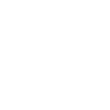 Analyser